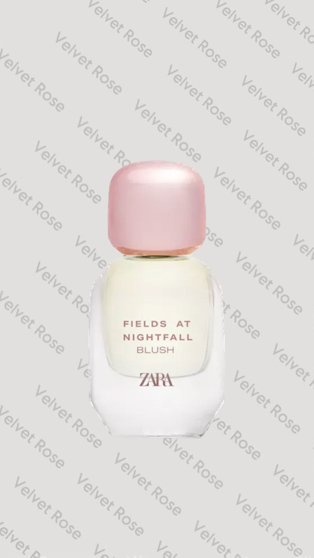عطر زارا Fields at Nightfall Blush