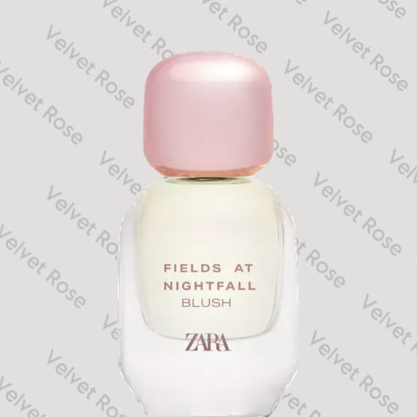 عطر زارا Fields at Nightfall Blush