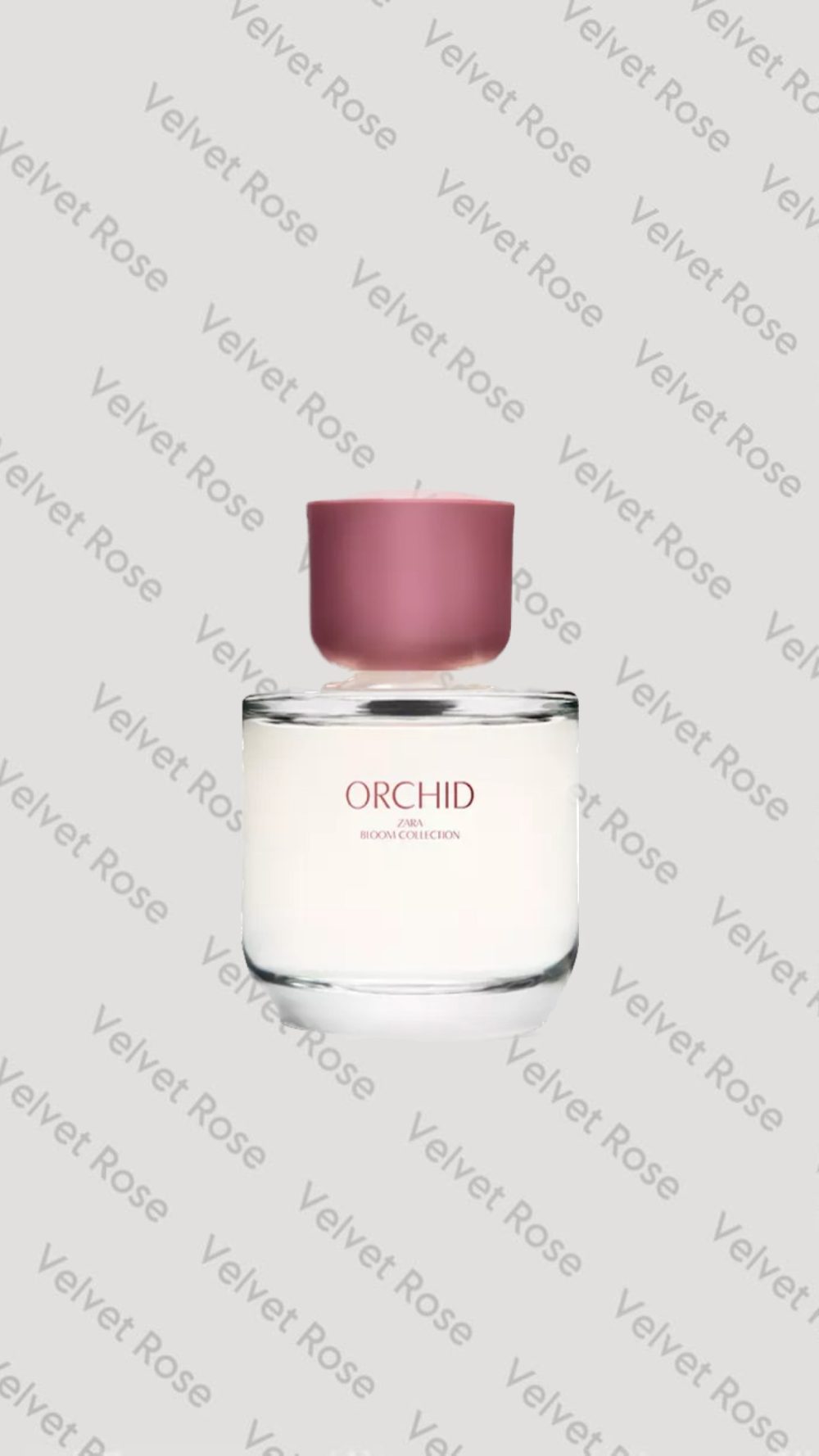 عطر ارکید Zara اورجینال 90 Mil