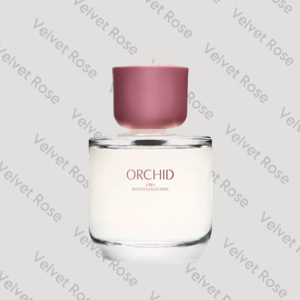 عطر ارکید Zara اورجینال 90 Mil